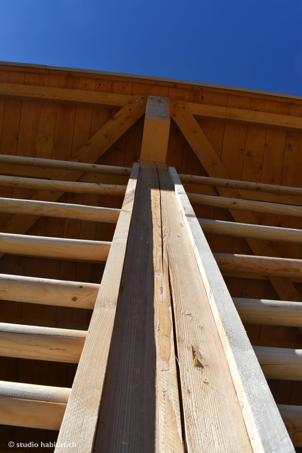 caseificio — Alpe Pontino — 2018 — foto 11