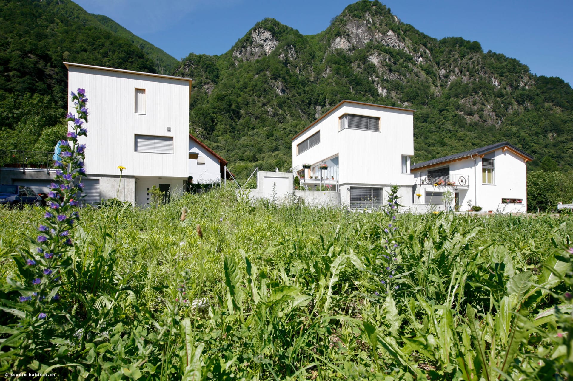 case monofamigliari — Aurigeno — 2009 — foto 4